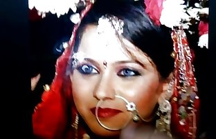 Desi Bride Tribute