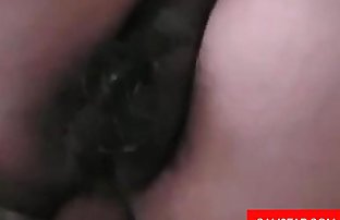 妻子 服务 肛门 免费的 印度 色情 视频